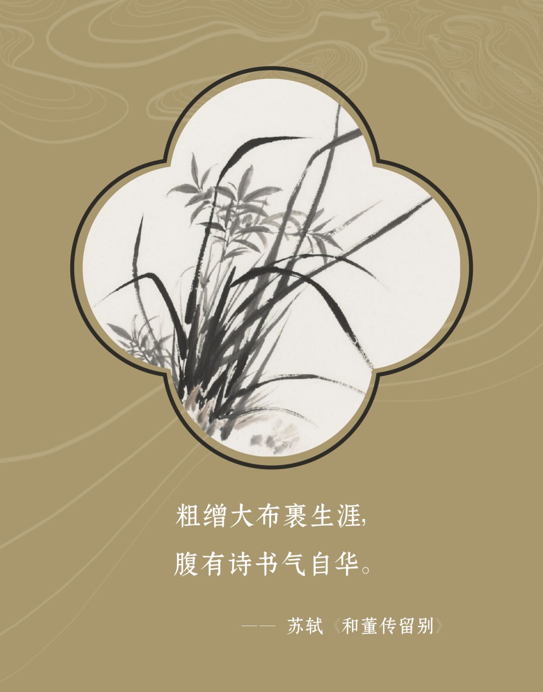 校园阅读空间 │ 看不见的教育力量：解密校园阅读空间如何成为孩子的隐形导师