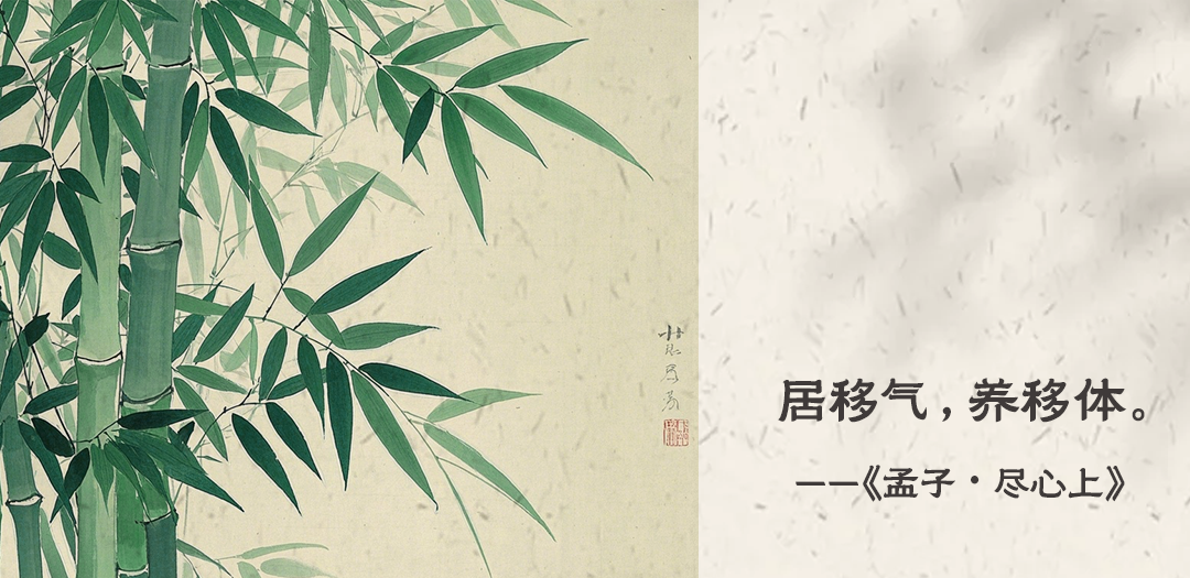 学校文化建设 │ 下篇：别再踩雷！校园文化建设5大误区+3类实战经验全揭秘